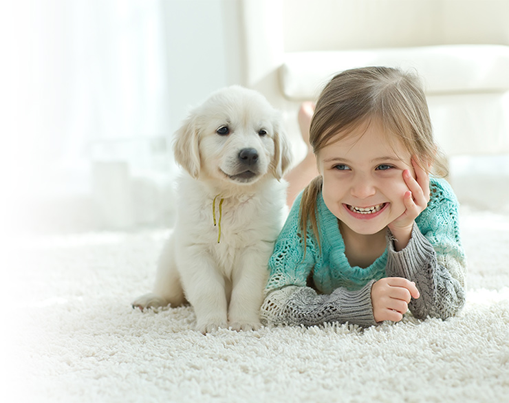 Home elevator revised safety code to protect children